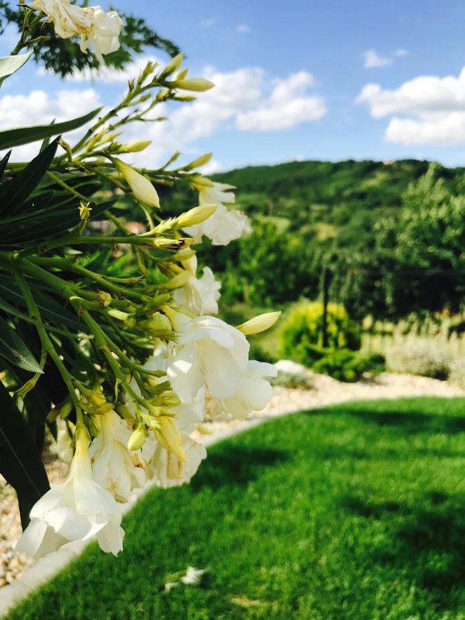 Vass-Villa Vendeghaz Сексард Экстерьер фото