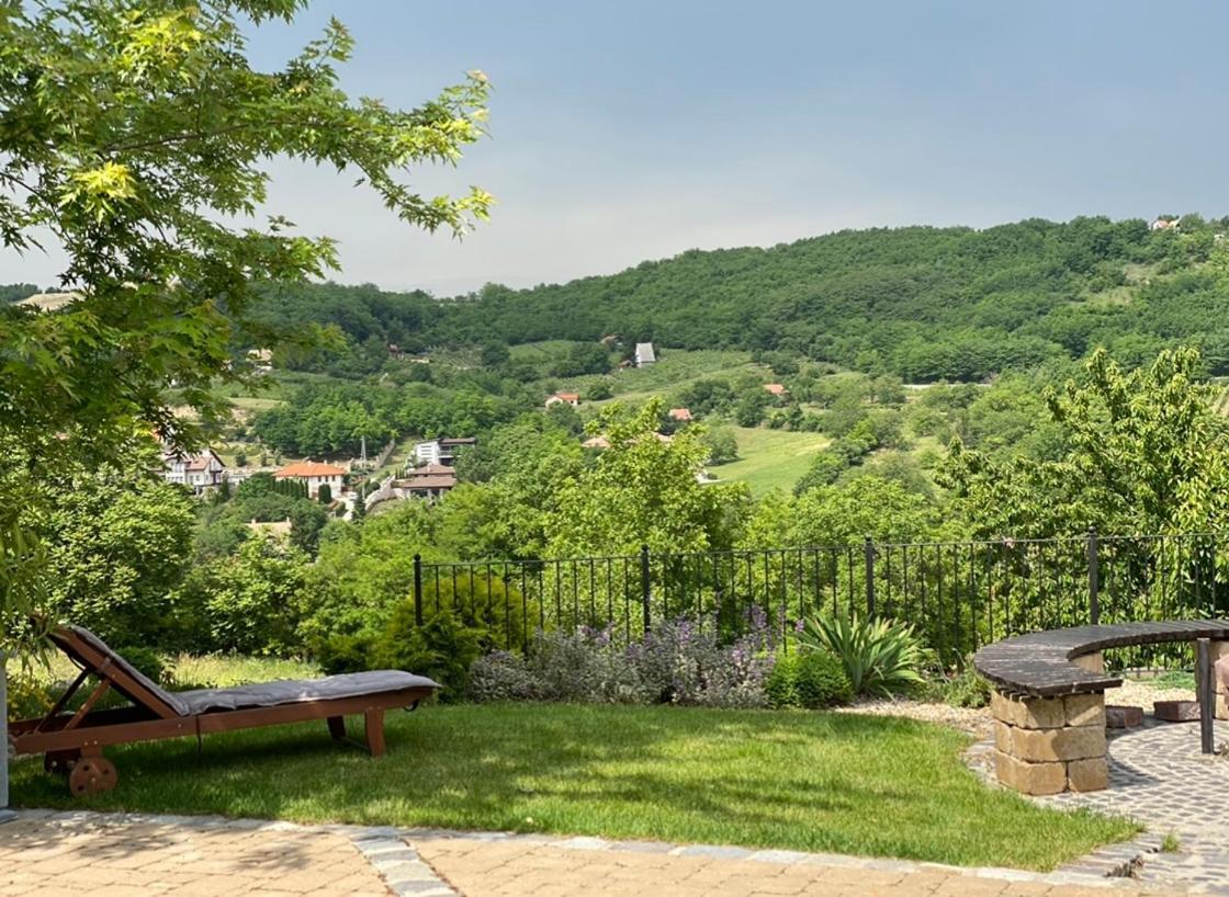 Vass-Villa Vendeghaz Сексард Экстерьер фото