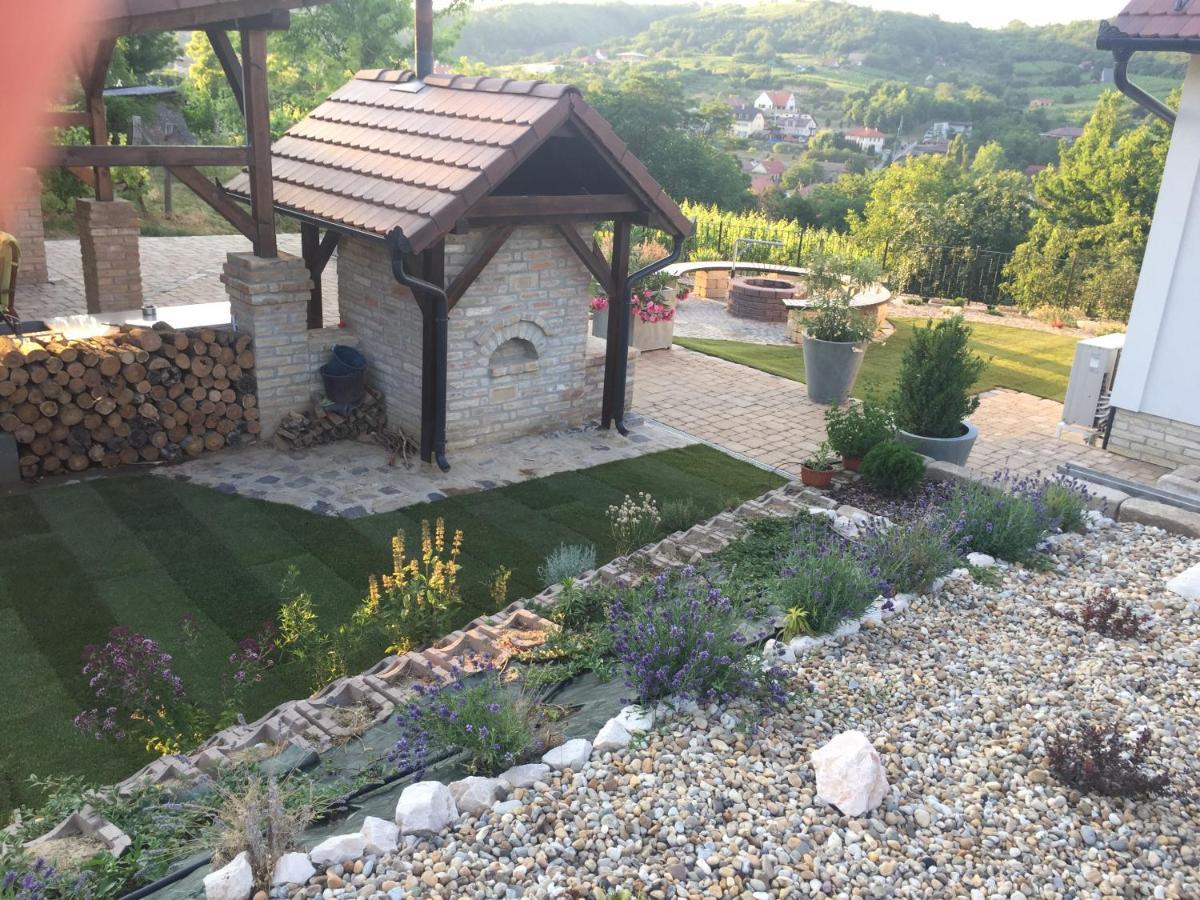 Vass-Villa Vendeghaz Сексард Экстерьер фото