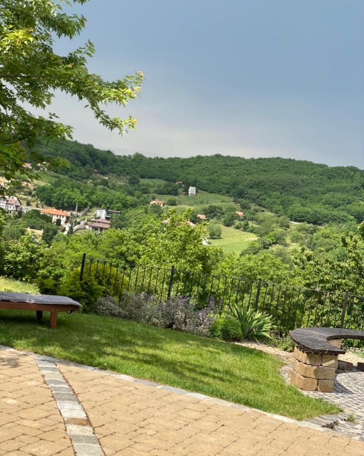Vass-Villa Vendeghaz Сексард Экстерьер фото